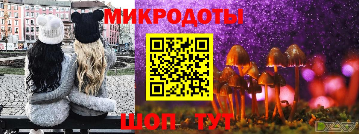 Богданович  Галлюциногенные грибы Cubensis  где найти   Вход с VPN 