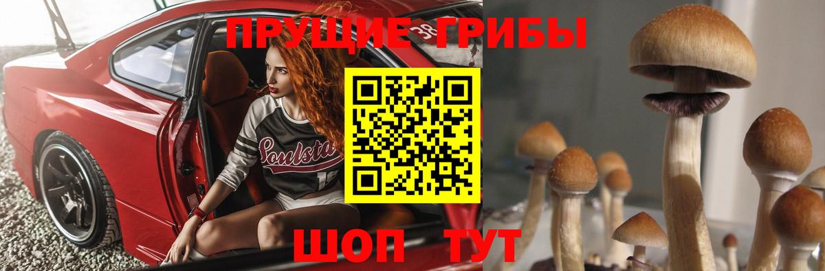 Галлюциногенные грибы ЛСД Богданович