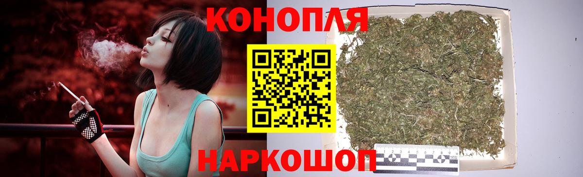 МАРИХУАНА сатива Богданович